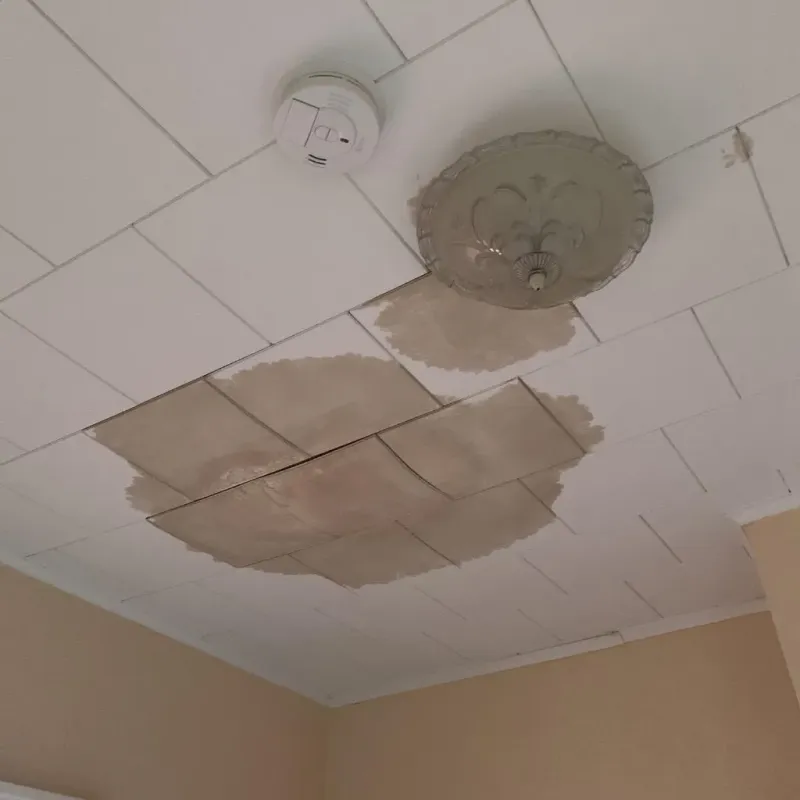 Ceiling Water Damage Repair in Cimarron County, OK