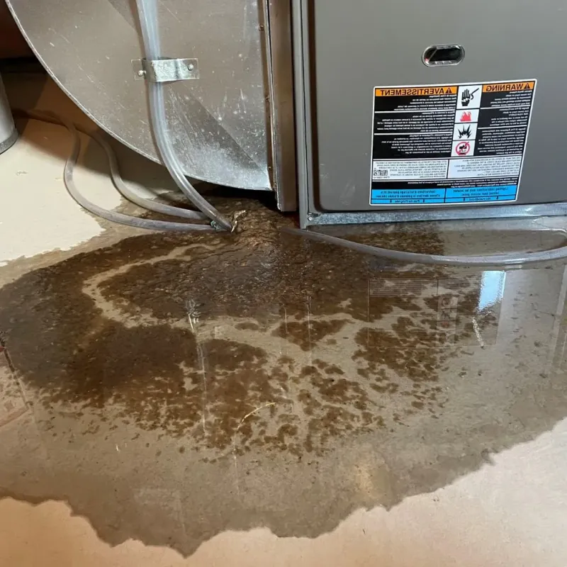 Pipe Burst and Leak Restoration in Cimarron County, OK