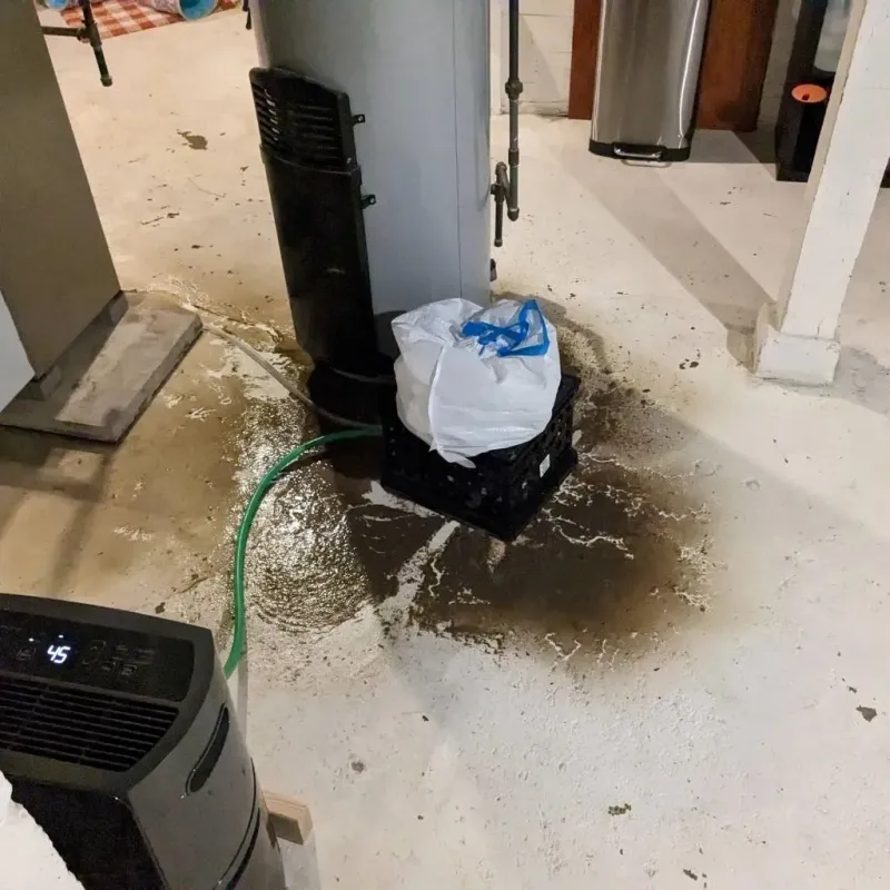 Sewage Backup Cleanup Service in Cimarron County, OK